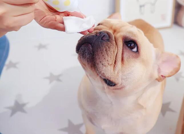 寵物用品進口報關關稅稅率（寵物用品進口關稅是多少？）