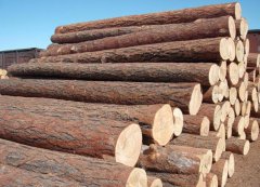 【木材動(dòng)態(tài)】疫情與海運(yùn)持續(xù)影響國(guó)際木材市場(chǎng)走向